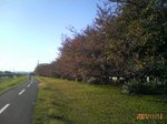 P1000014mini.jpg